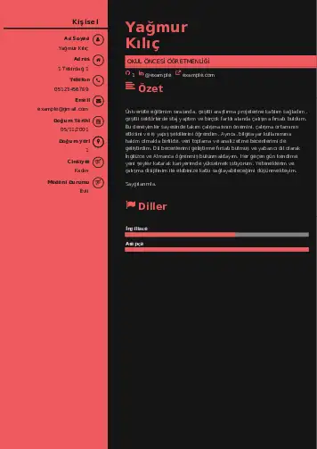 Okul Öncesi Öğretmeni Öğretmenliği Cv Örnekleri cv indir